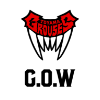 Team G.O.W